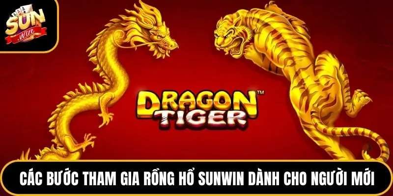 Các bước tham gia Rồng Hổ Sunwin dành cho người mới