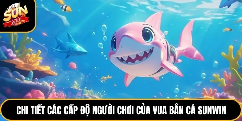 Vua Bắn Cá Sunwin - Top 1 Game Săn Thưởng Hấp Dẫn Nhất 2026 4 Chi tiết các cấp độ người chơi của vua bắn cá Sunwin