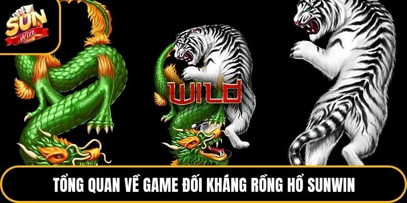 Tổng quan về game đối kháng Rồng Hổ Sunwin